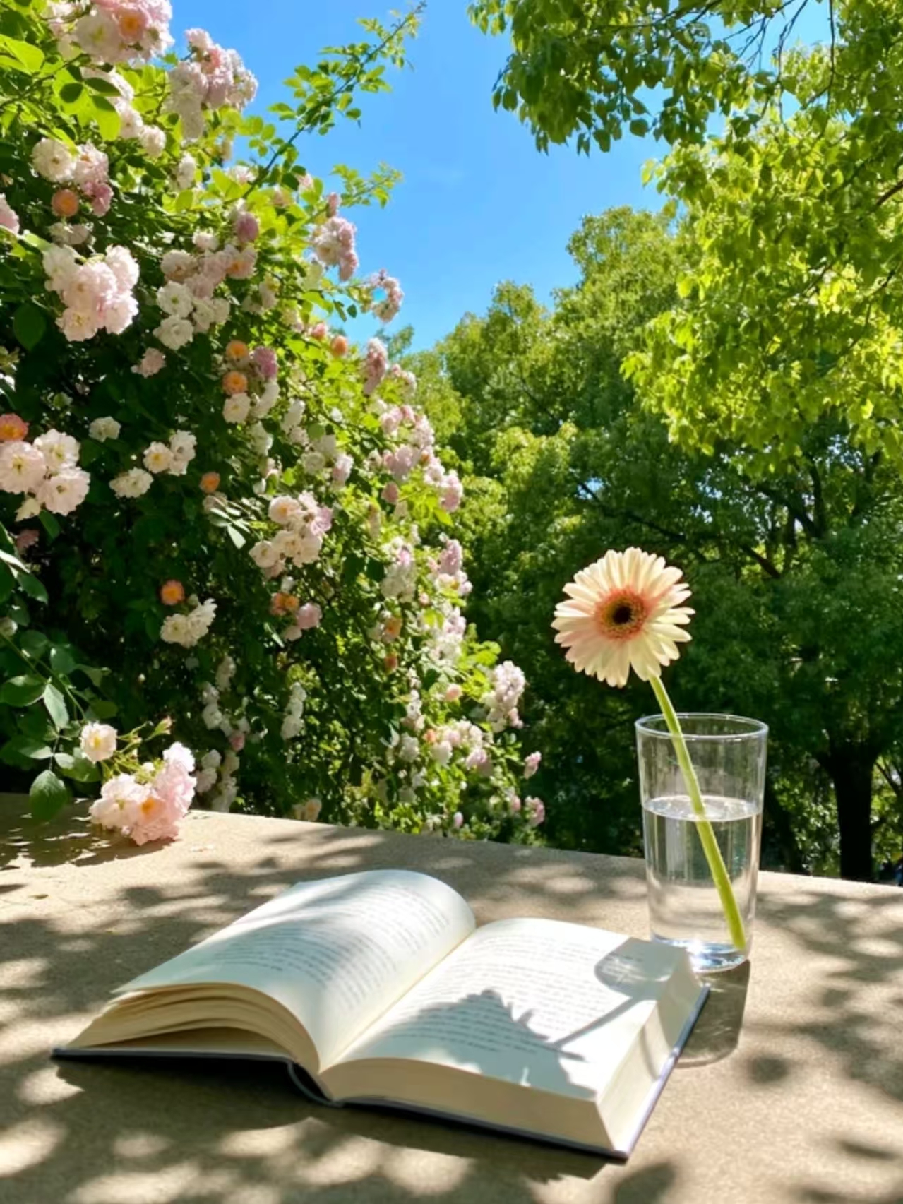 d4fdaac1a04d818ced4aab8086baeaa8.jpg d4fdaac1a04d818ced4aab8086baeaa8.jpg